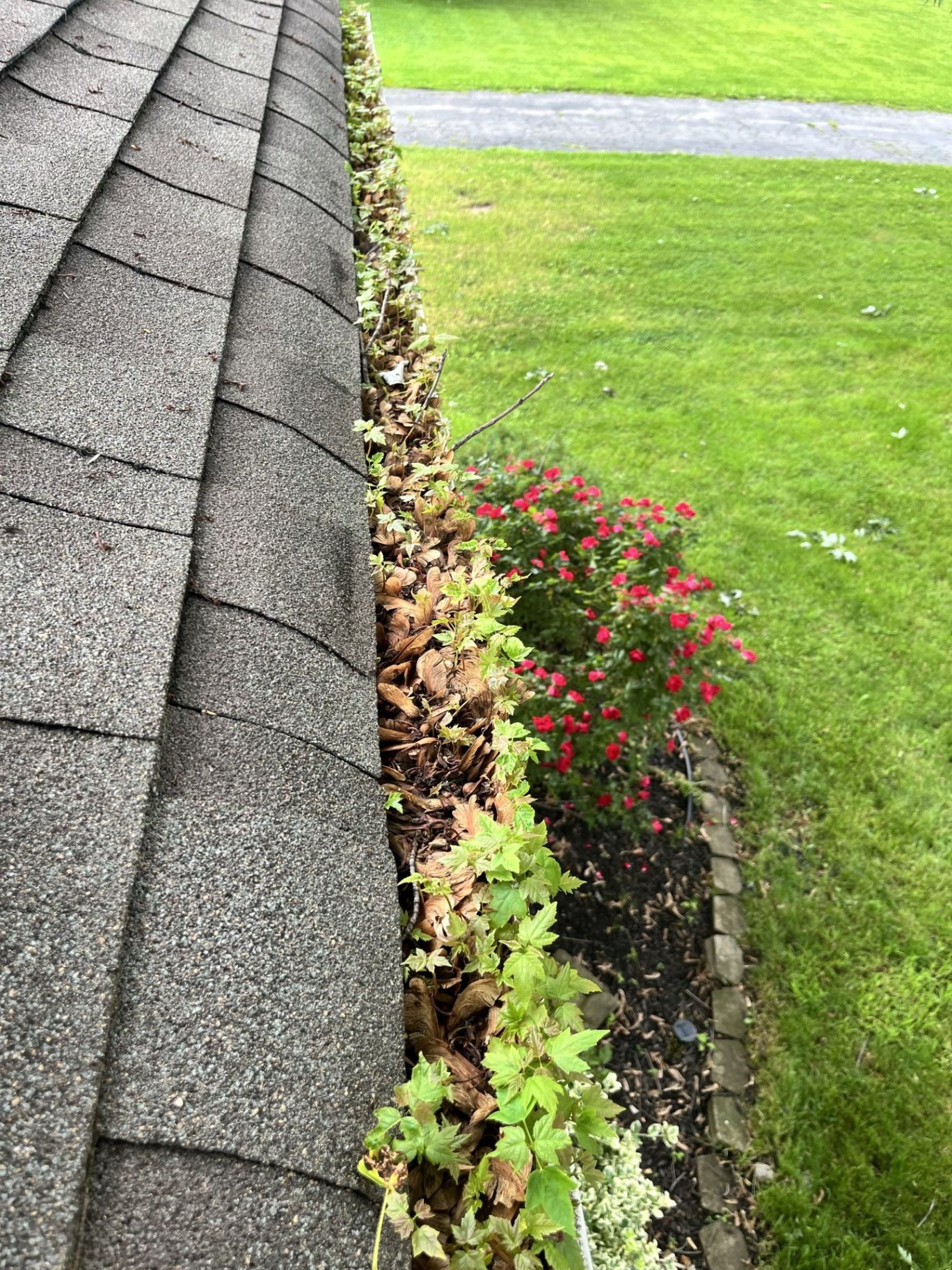 Gutter Cleaning
